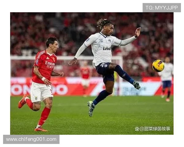 本菲卡本赛季葡超表现稳健，积分榜位居前列